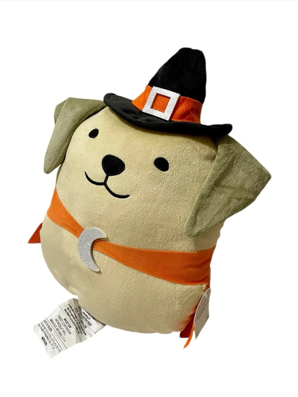 Target Halloween Witch Dog Decorative Pillow
